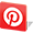 Pinterest Icon